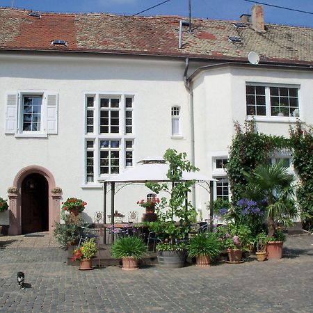 Bio-Weingut, Gaestehaus Und Kraeuterhof Flomborn Exteriér fotografie