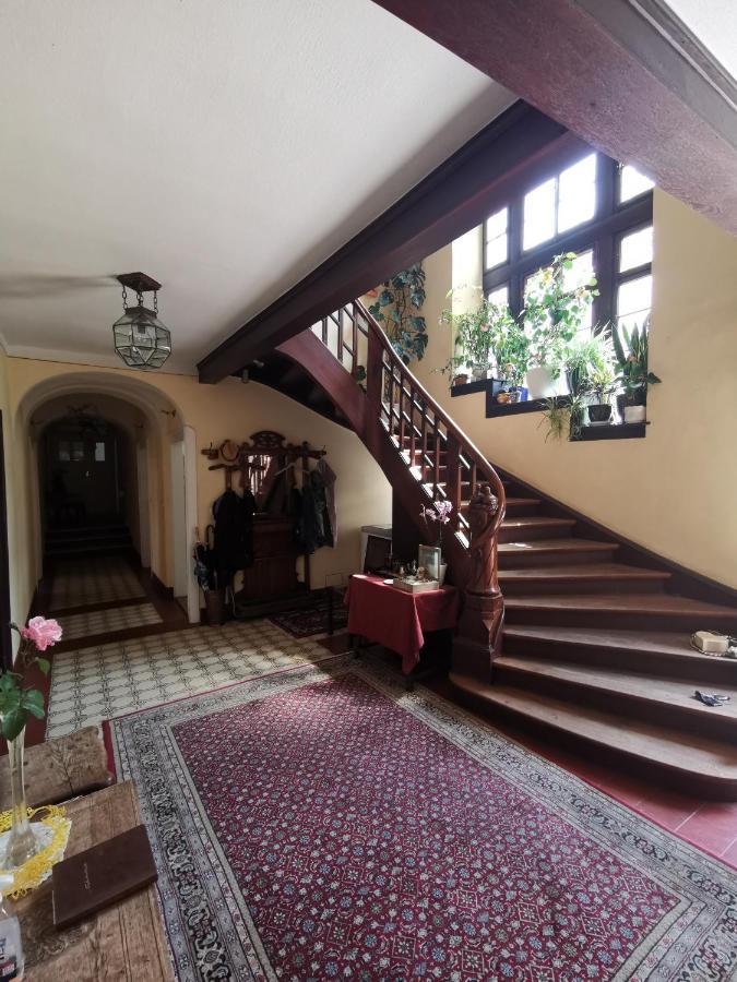 Bio-Weingut, Gaestehaus Und Kraeuterhof Flomborn Exteriér fotografie