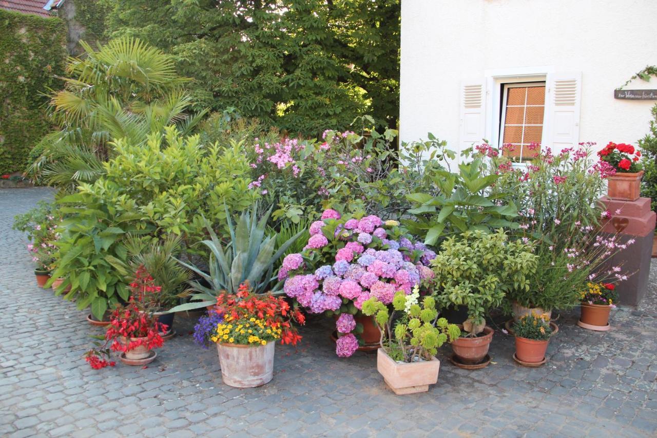 Bio-Weingut, Gaestehaus Und Kraeuterhof Flomborn Exteriér fotografie
