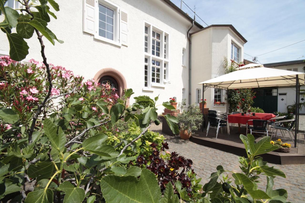 Bio-Weingut, Gaestehaus Und Kraeuterhof Flomborn Exteriér fotografie