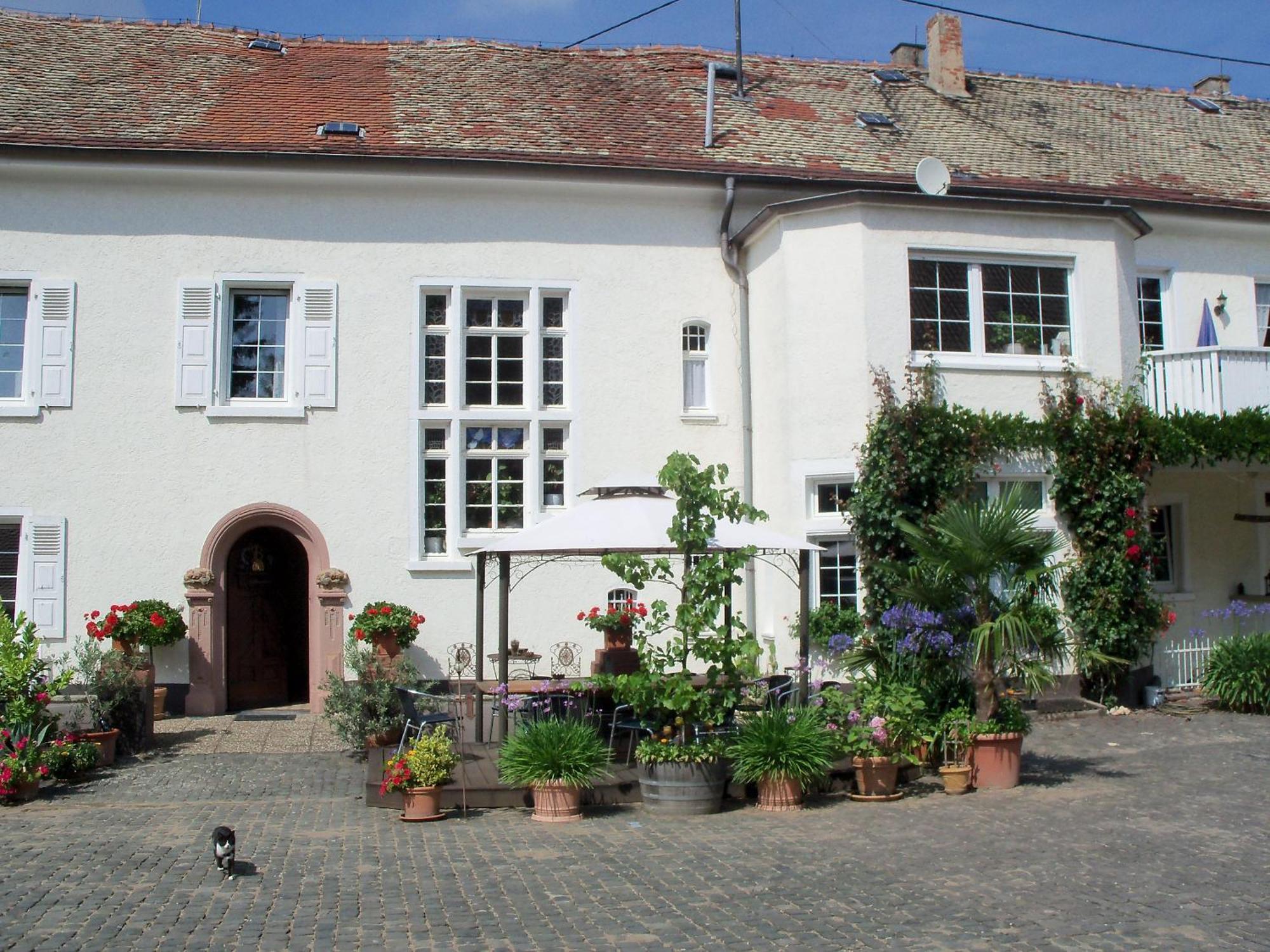Bio-Weingut, Gaestehaus Und Kraeuterhof Flomborn Exteriér fotografie